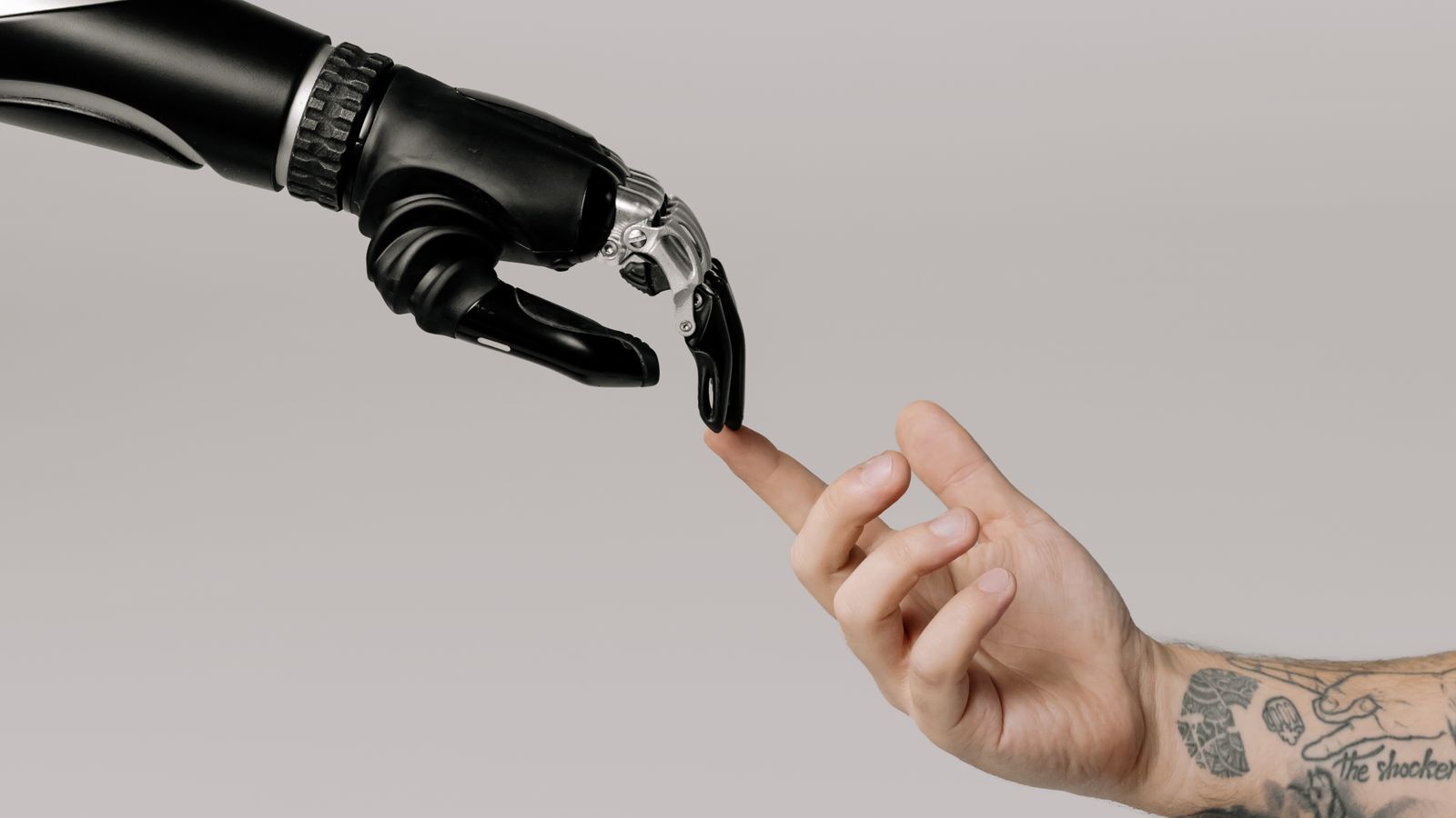 Robotic hand and human hand